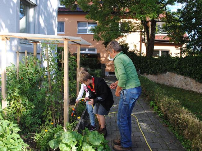 Pflanzen im Garten