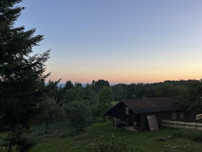 Ausblick