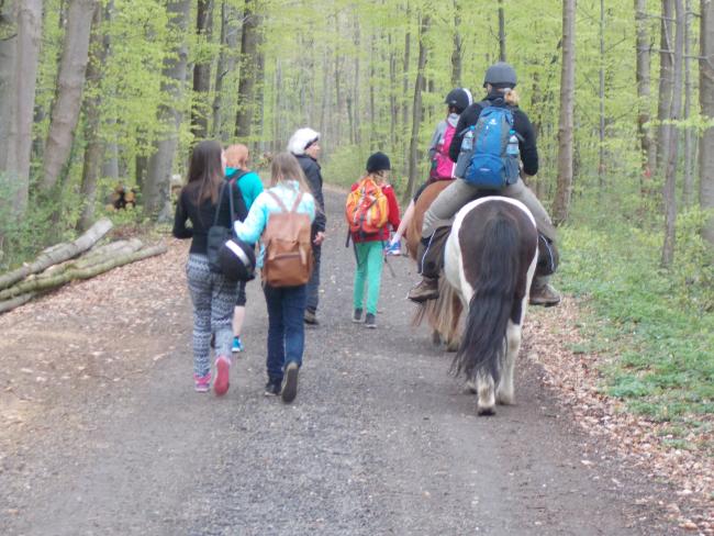 Freizeit Reiten Tüllinger Höhe