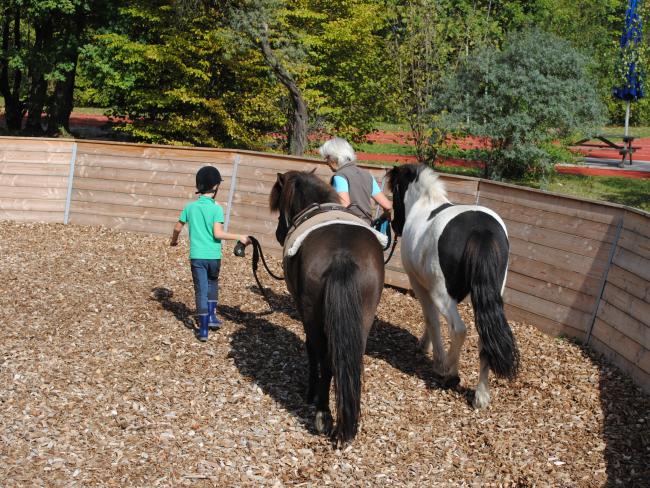 Heilpädagogisches Reiten auf der Tüllinger Höhe