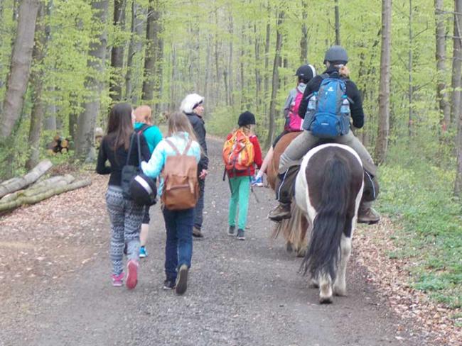 Heilpaedagogisches Reiten