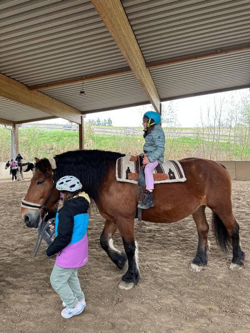 Reiten